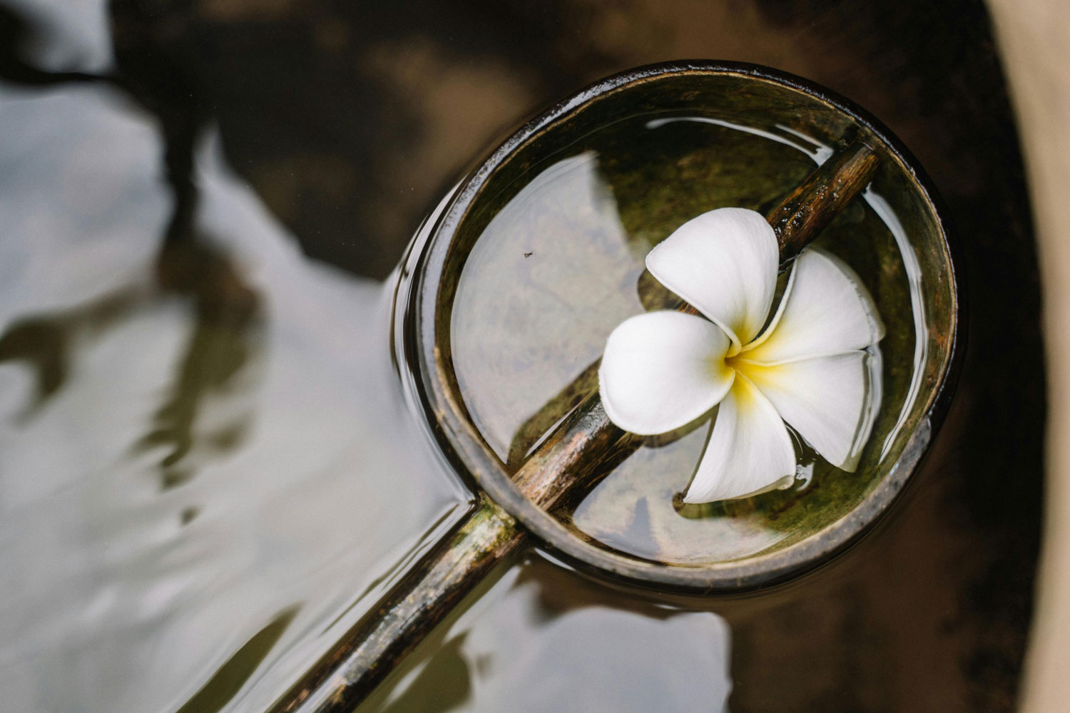 bearfoot spa and sanctuary